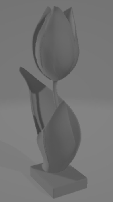 tulipano
