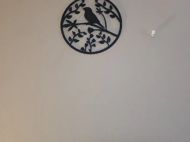 Bird Wall Art