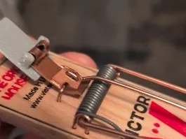 Mouse Trap Lever adder2000
