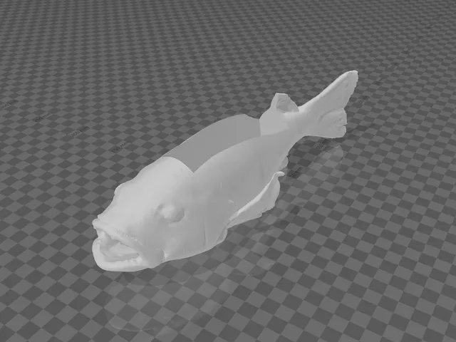 Snapper Fish Business Card Holder