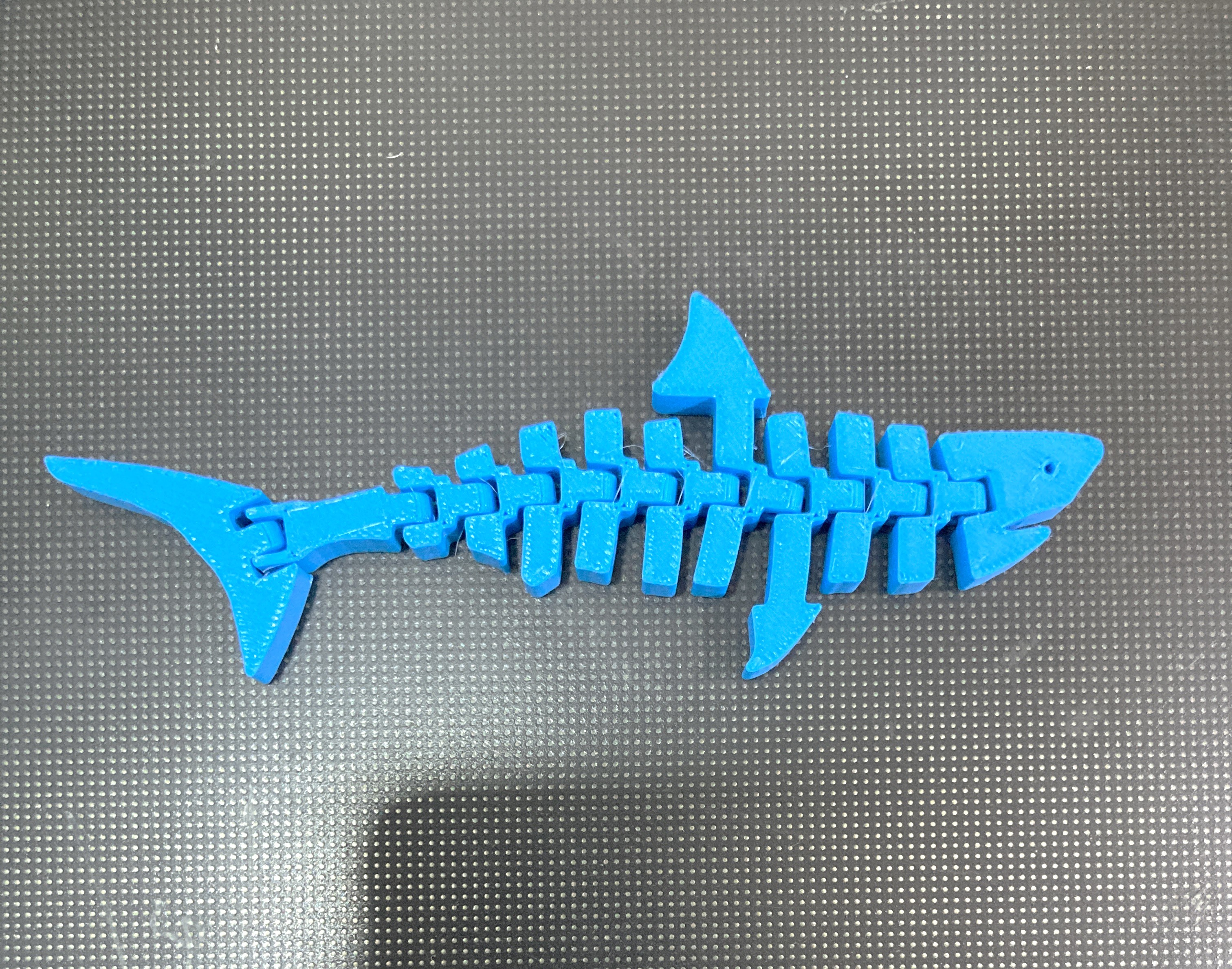 Articulated shark / Tiburón articulado