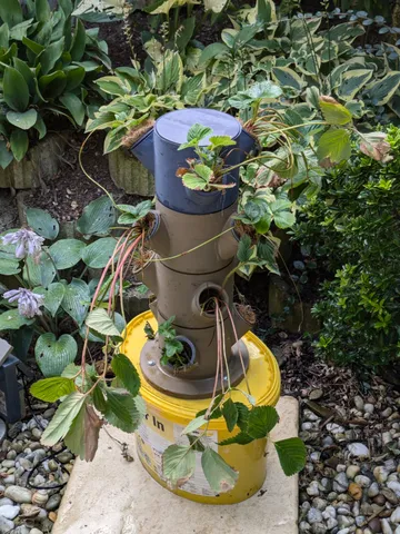 Hydrotower (Vertical Garden)