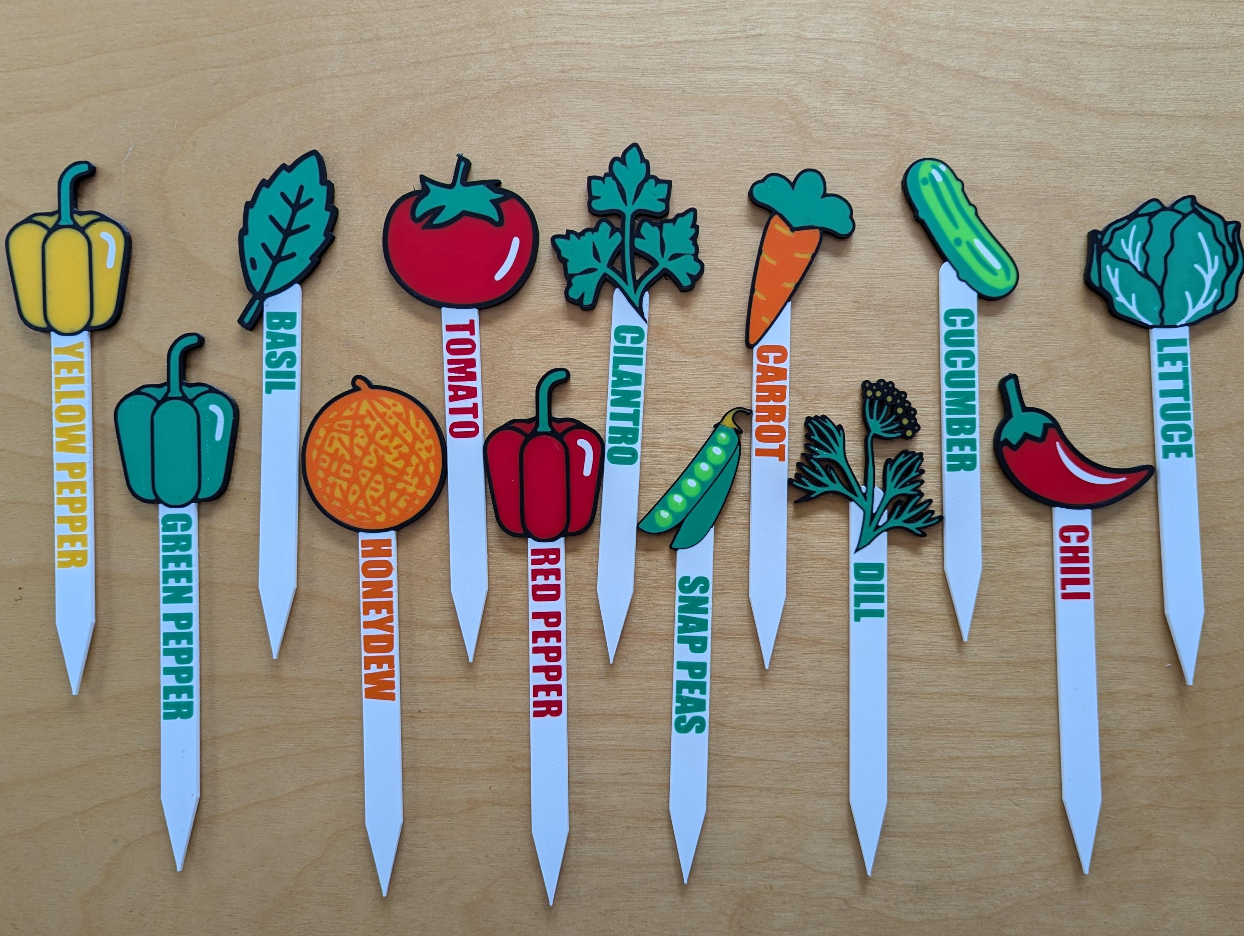 Multicolor Garden Tags