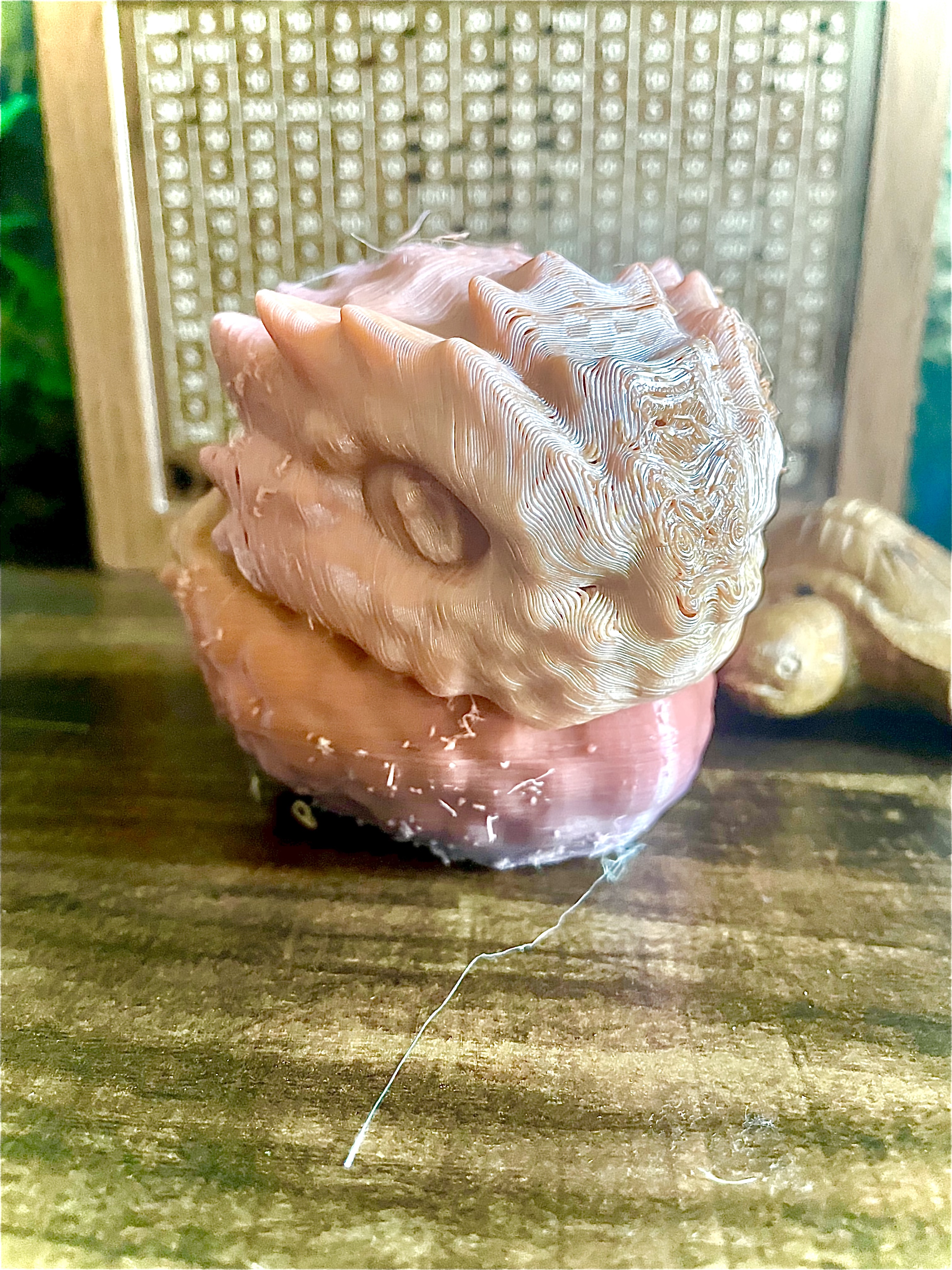 Dragon candy stash