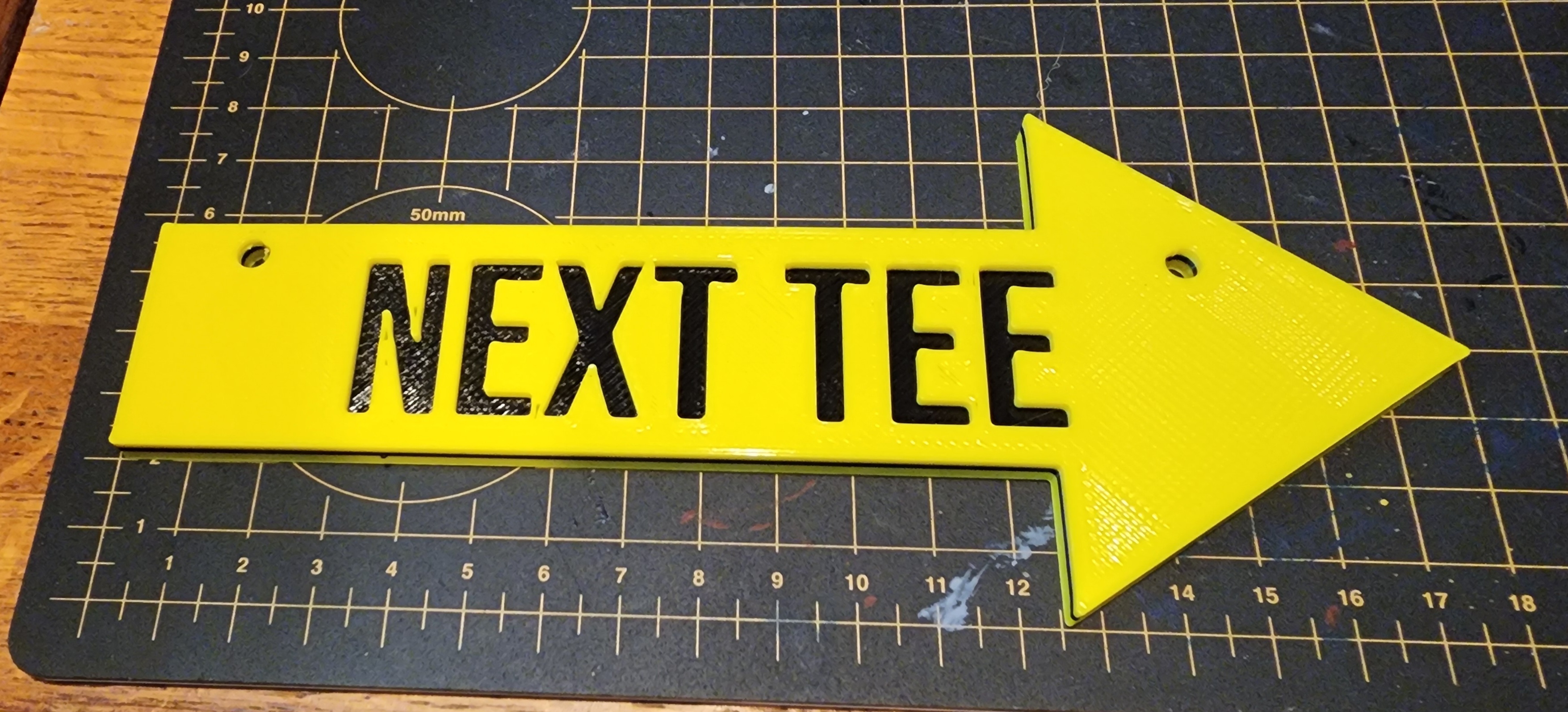 Next Tee Sign for Disc Golf Baskets