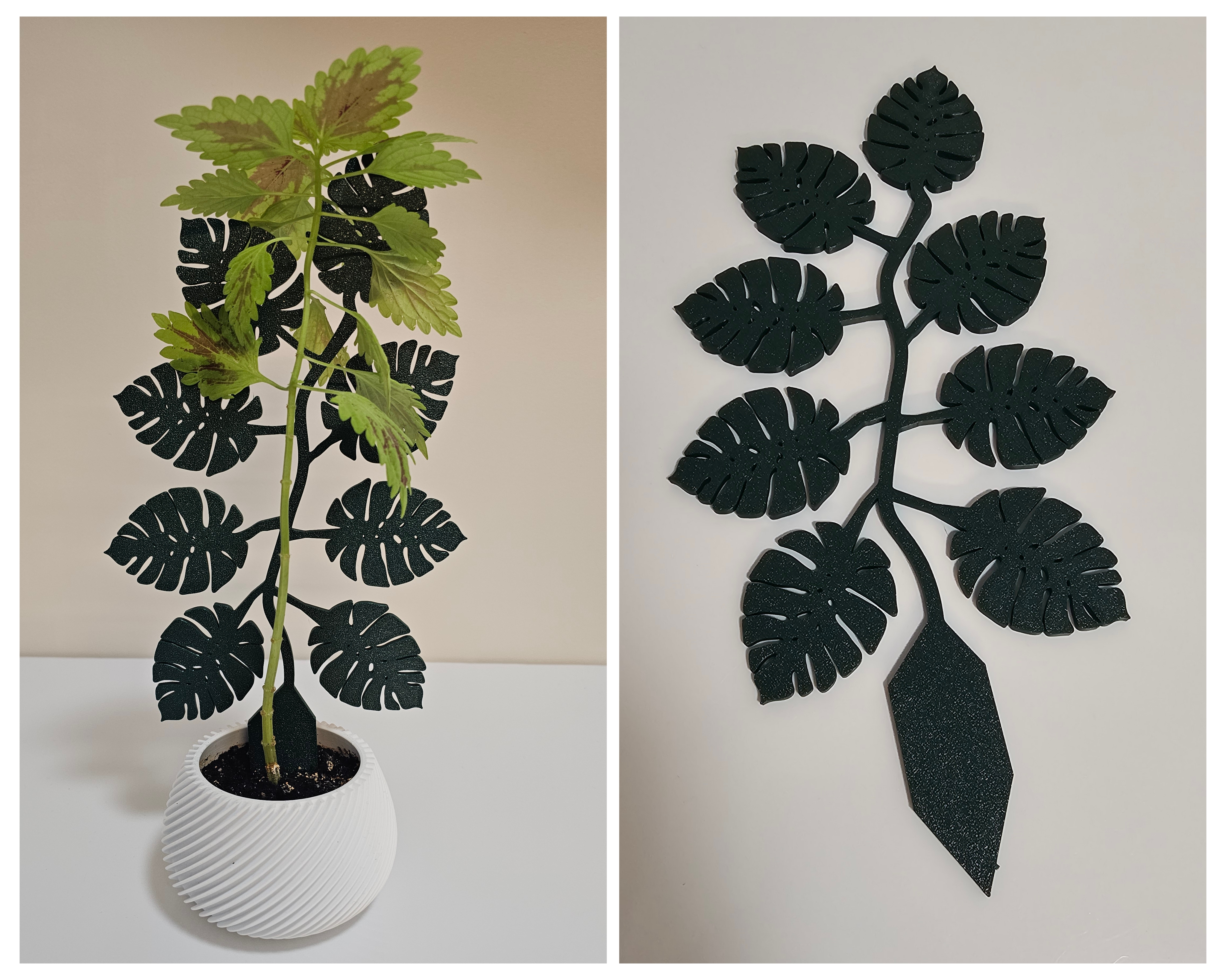 Support for plants. Plant Trellis. Monstera.