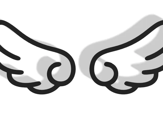 Wings Decor
