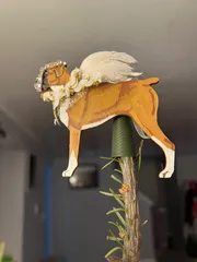 Any-Star Mount