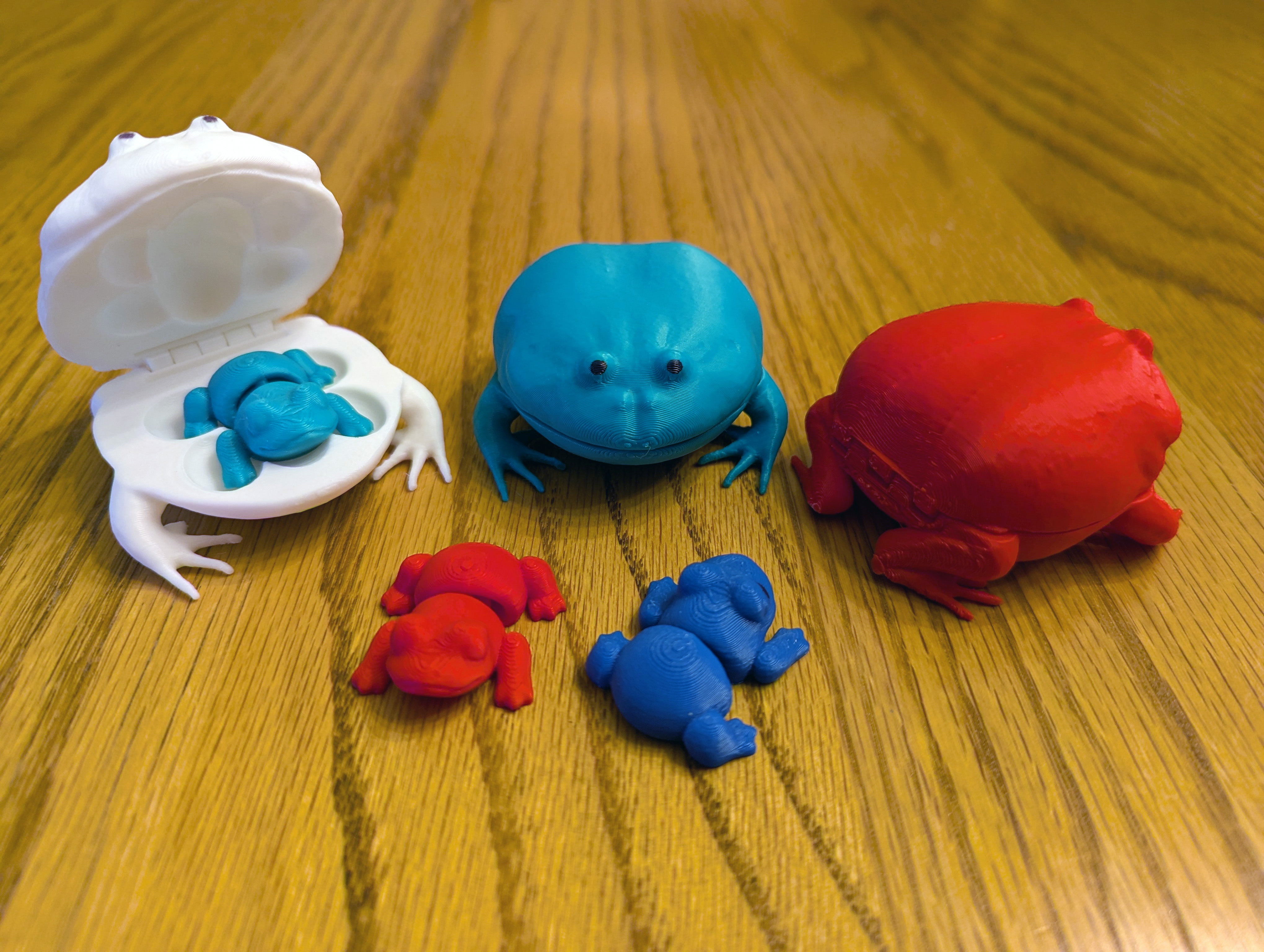 Flexi Frog Fidget in a Toad