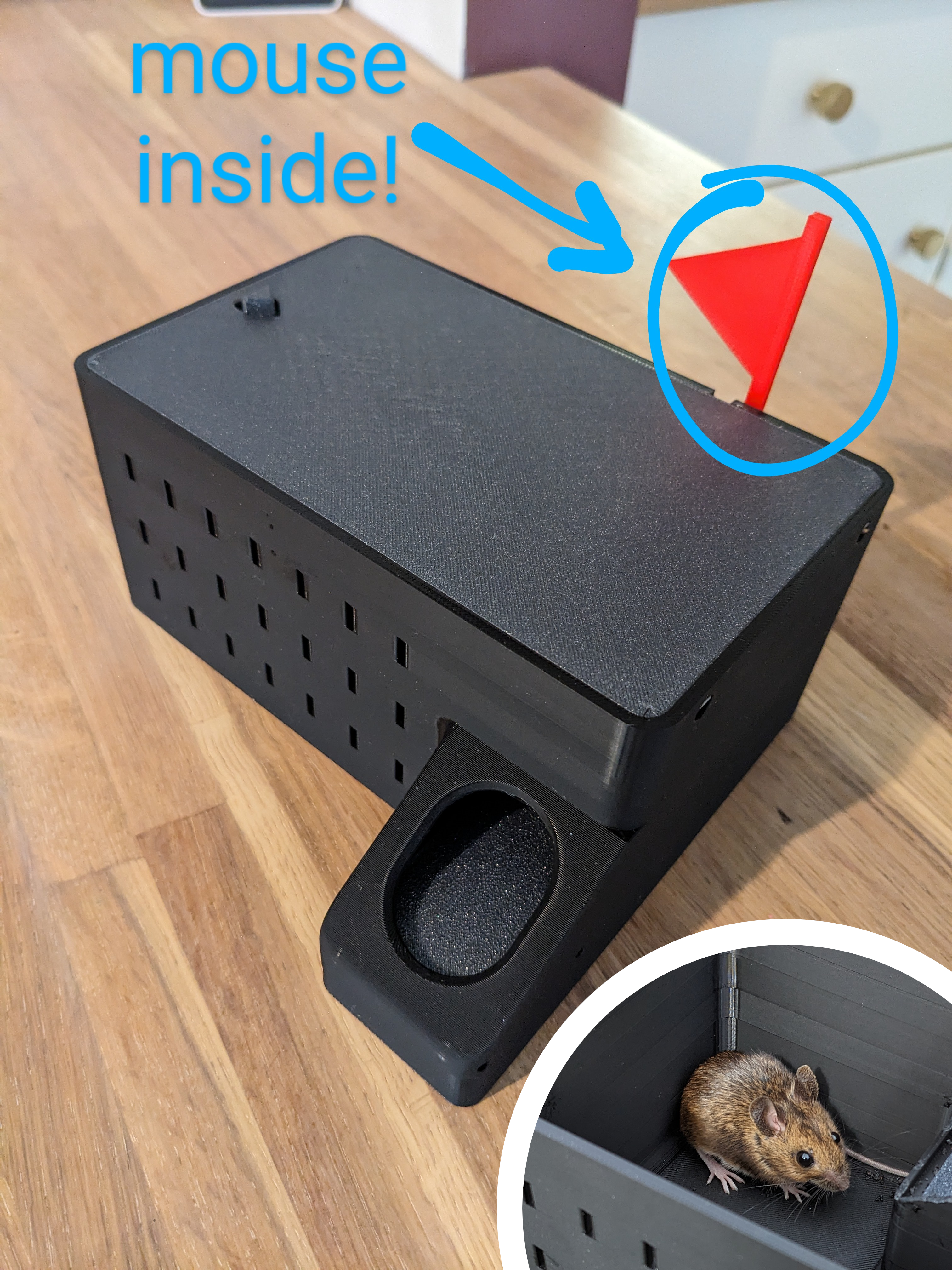 Live multi-catch mouse trap with catch indicator 3D model thumbnail