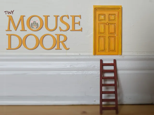 Tiny Mouse Door