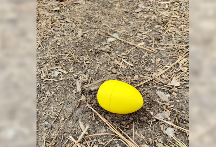 EGG PRANK 3D model