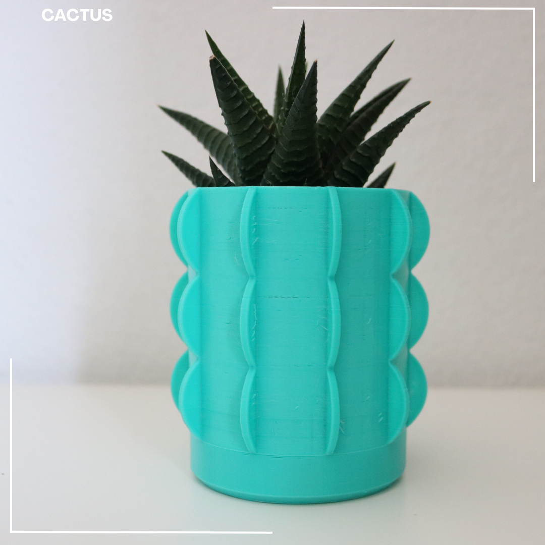 Miniatura 4 do modelo 3D Cactus Vase / Planter