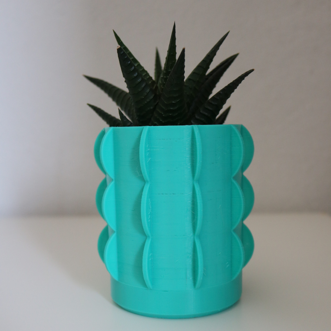 Miniatura 3 do modelo 3D Cactus Vase / Planter