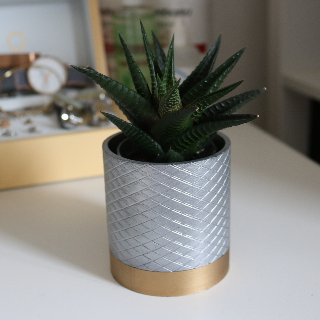 Cross Stitch Vase / Planter