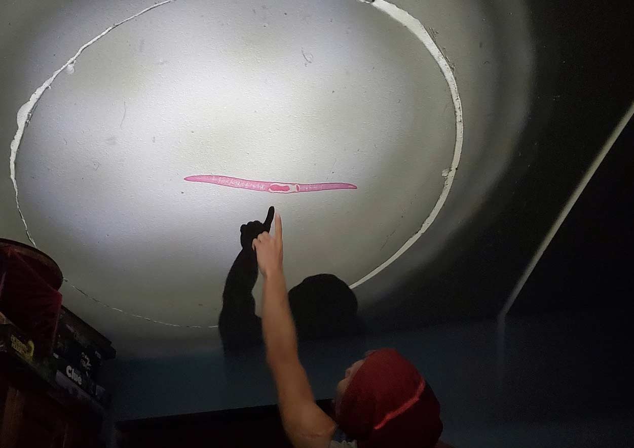 Projection Microscope — thumbnail 5