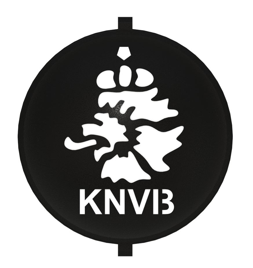 Golf - Golf Ball Stencil - Insert - Knvb Soccer Team By Peter C 