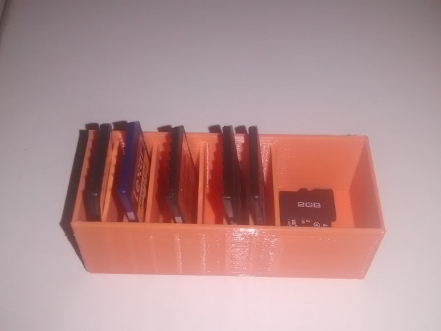 SD and MICROSD CASE