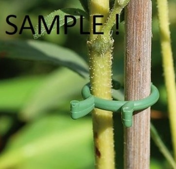 Plant Clip / Pflanzenclip