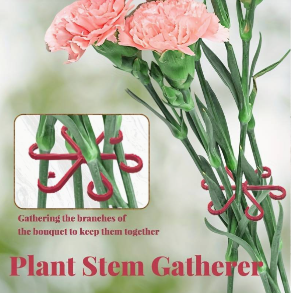 Plant Support