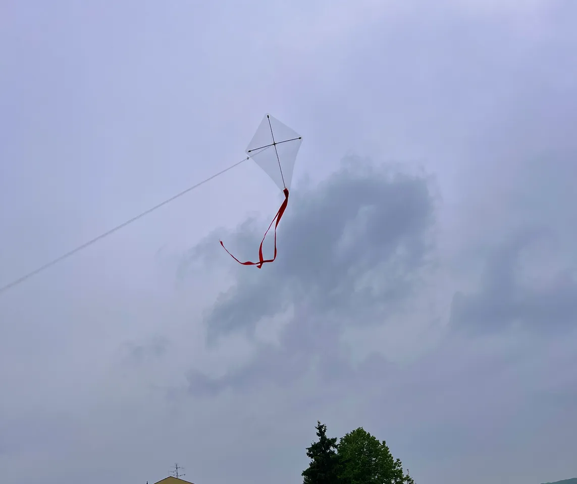 Simple kite by Michal Zoubek | Download free STL model | Printables.com