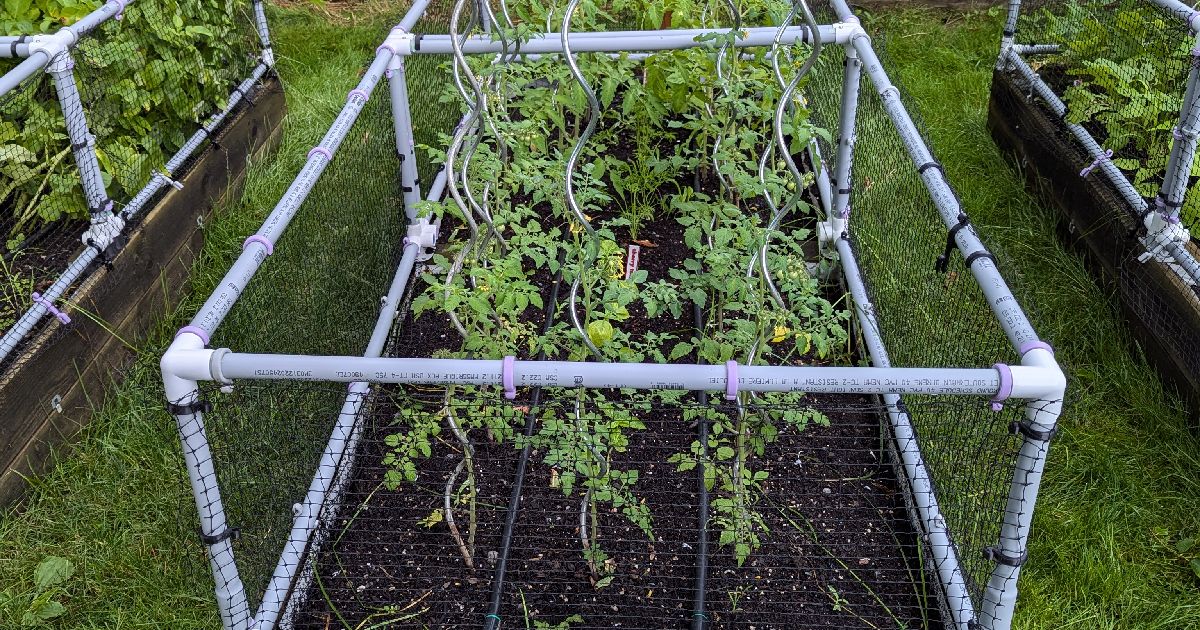  Build Your Own Raised Garden Bed, A Step-by-Step Guide