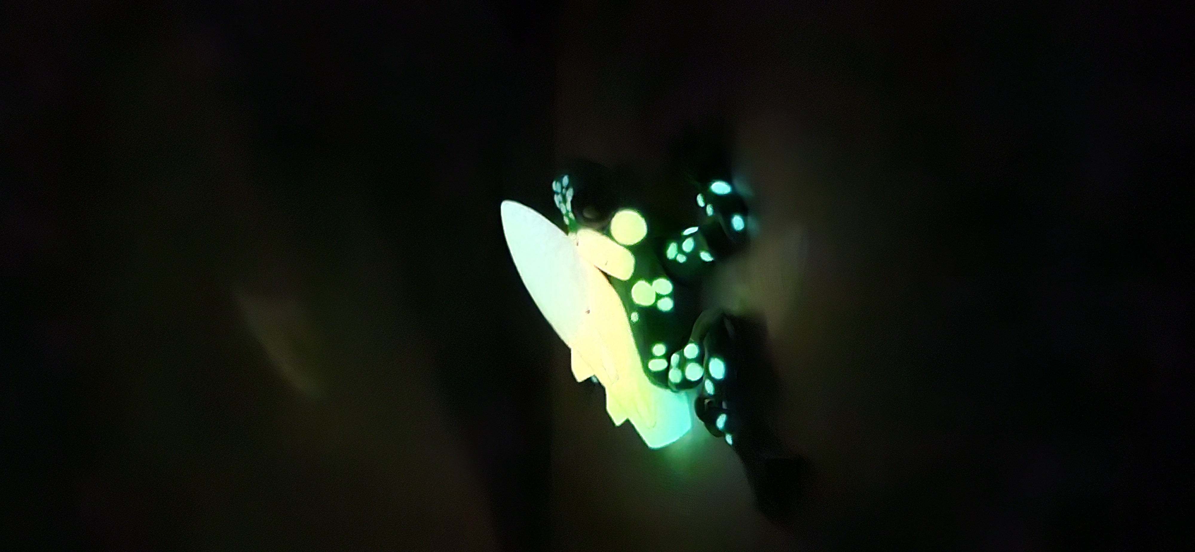 Missile Frog — thumbnail 3