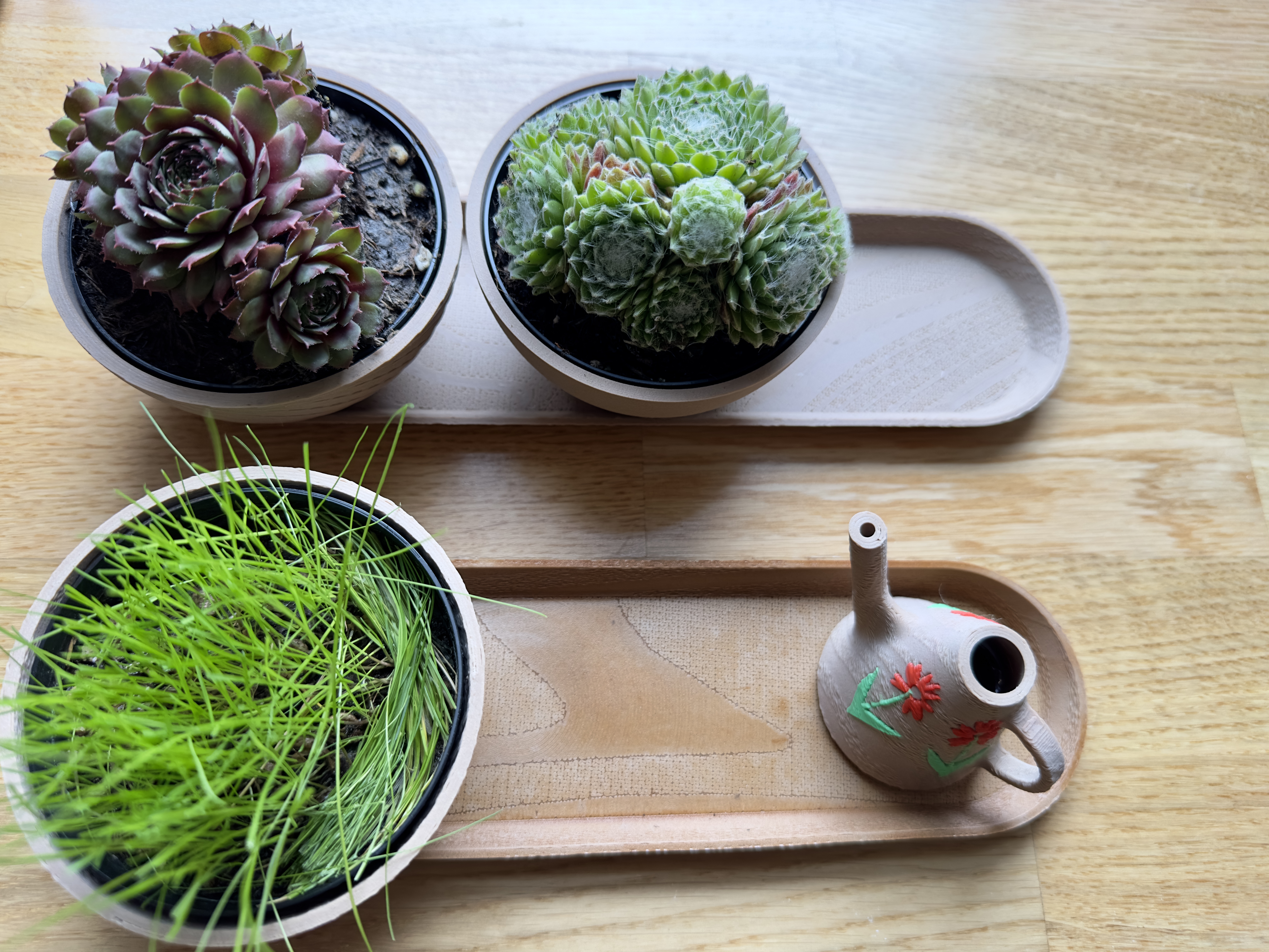 Modern Plant Set - Stylish & Practical