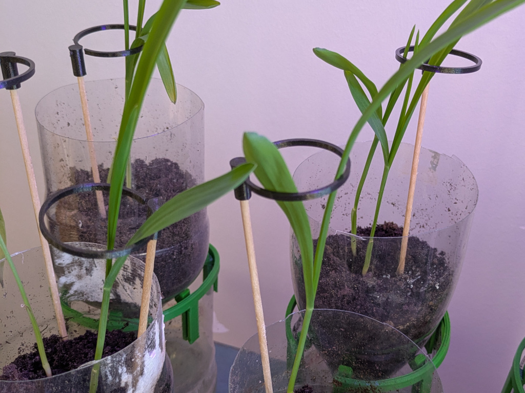 Skewer Plant Support