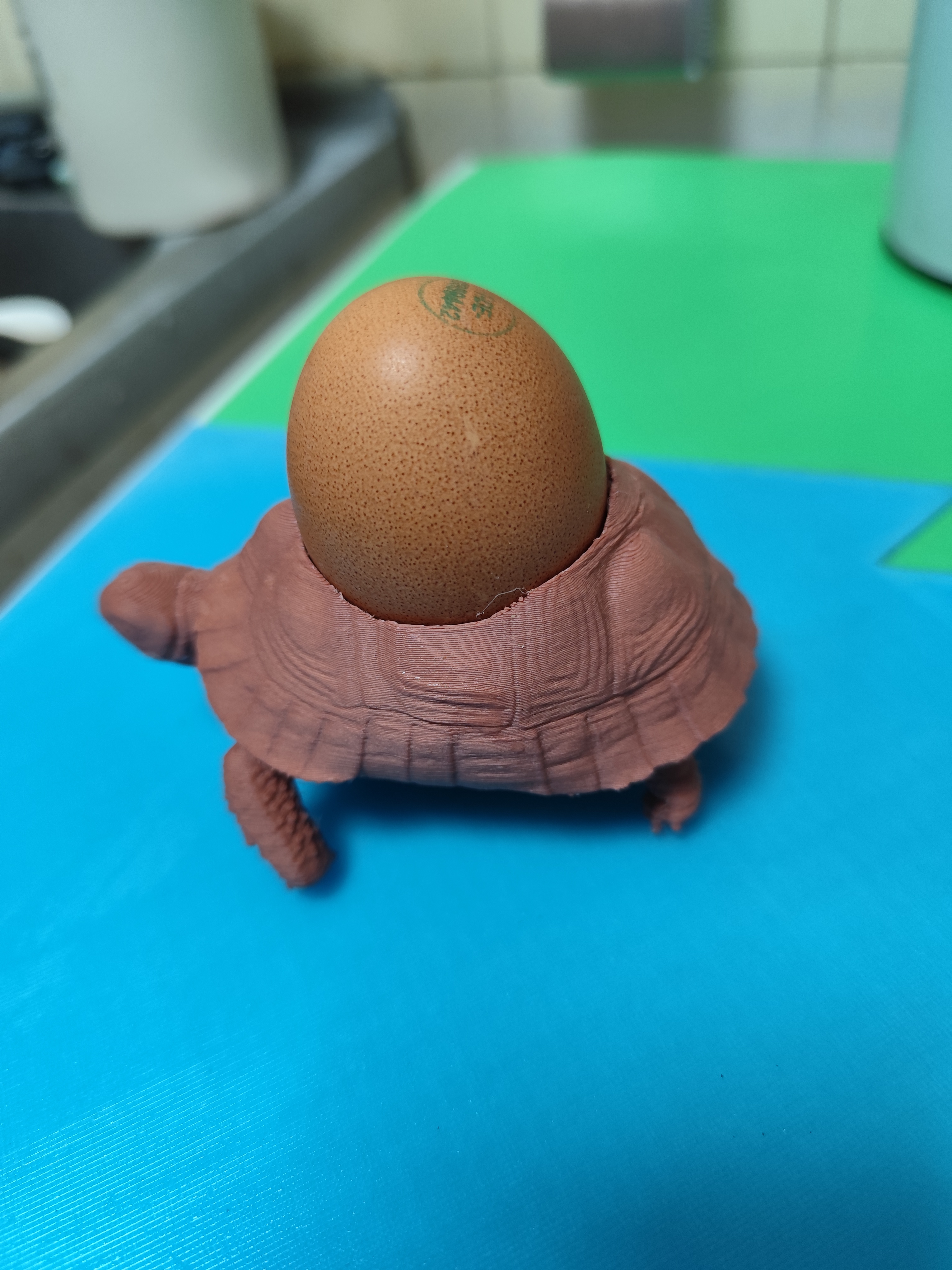 tortoise egg cup — miniatura 3