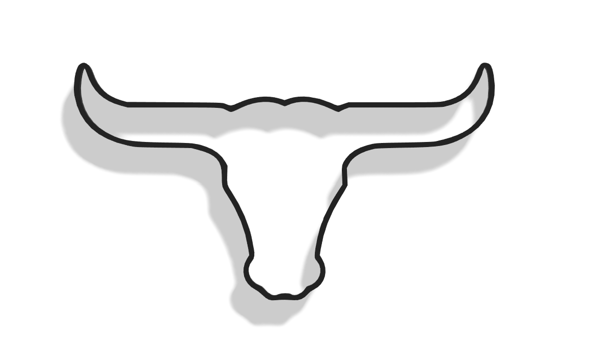 Longhorn Decor