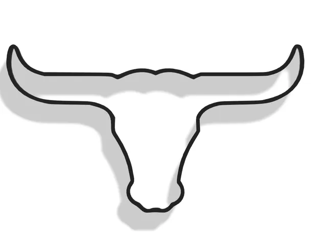 Longhorn Decor