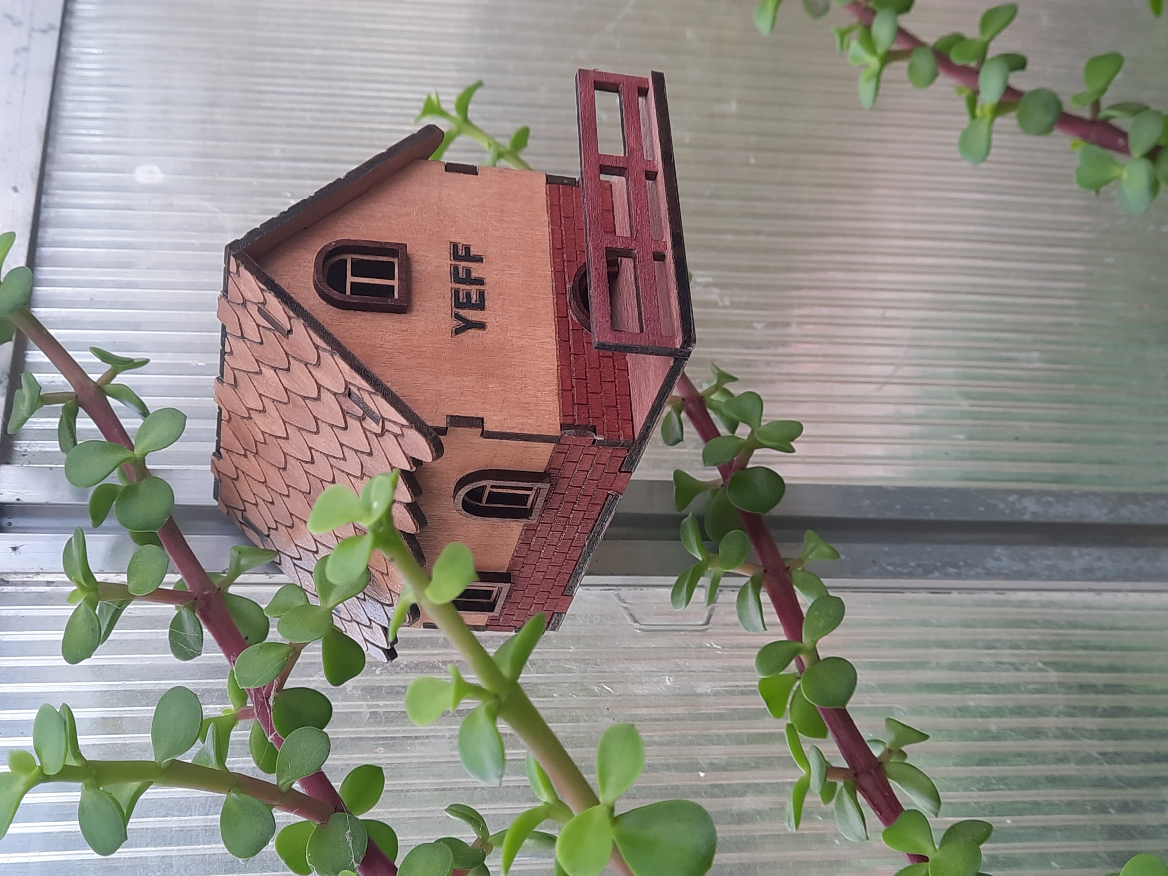 Laser Cut Mini Jumping Spider House