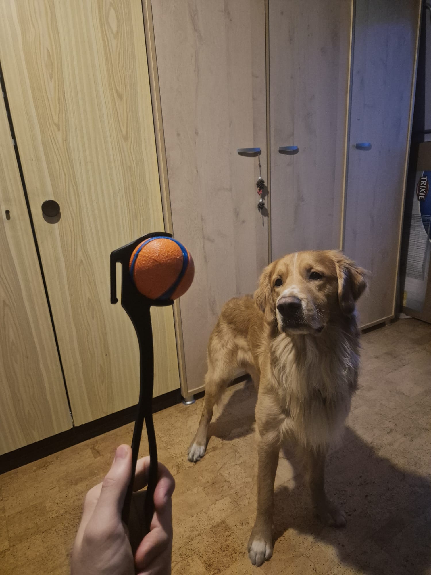 Chuck it M tennis ball thrower with belt hook