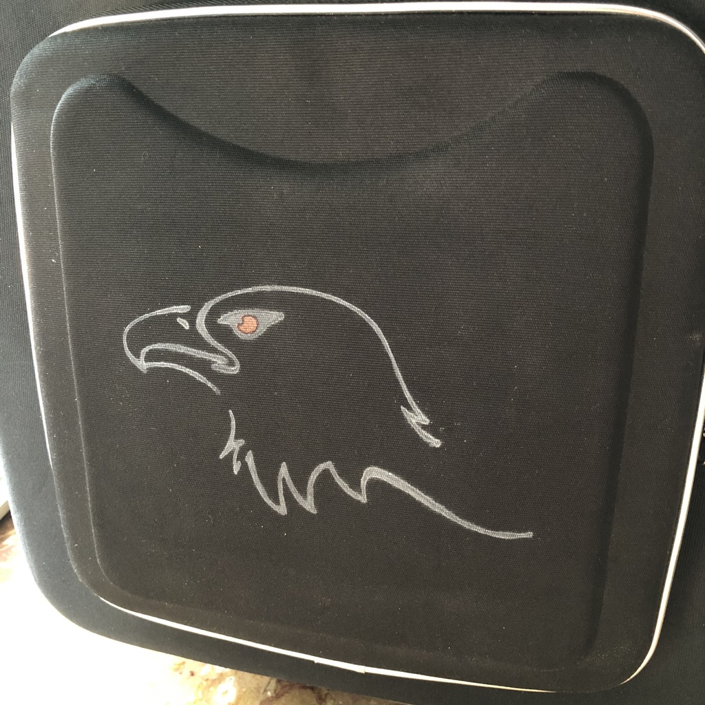 Eagle Stencil, home decor
