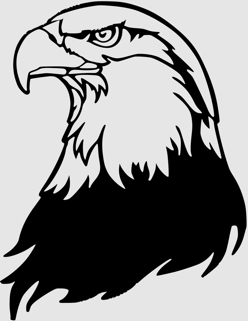 AMERICAN EAGLE wall art /decoration by BeppeITA | Download free STL ...