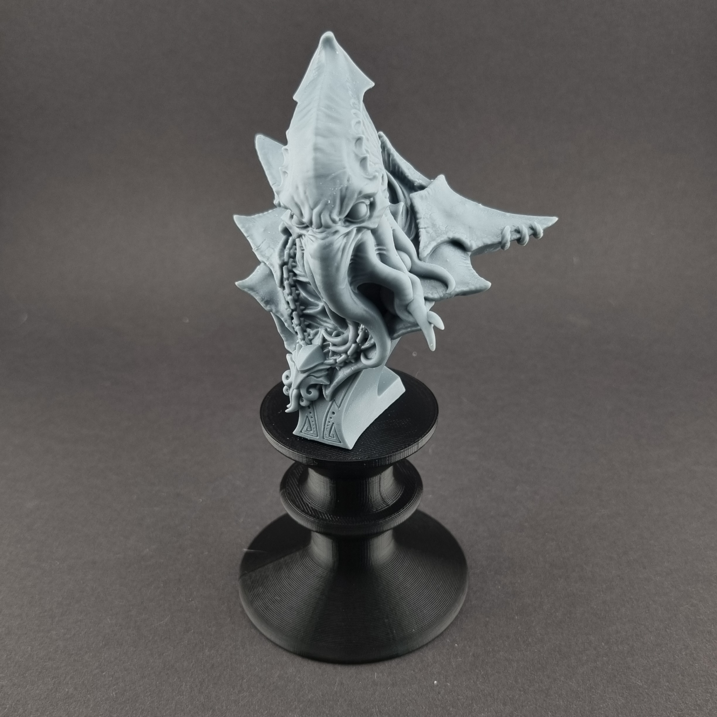Bust Stand (slim boy)