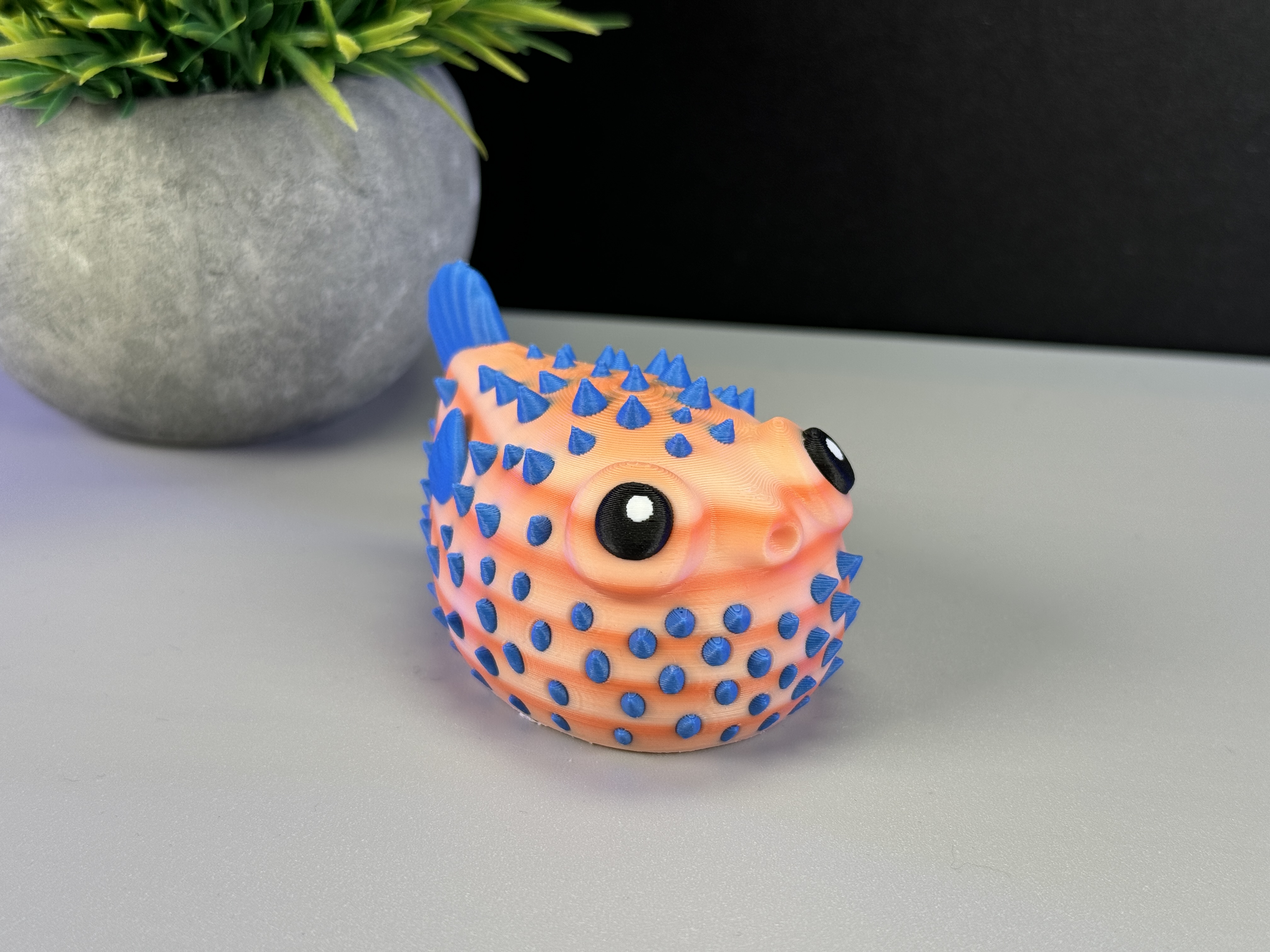 Cute Puffer Fish
