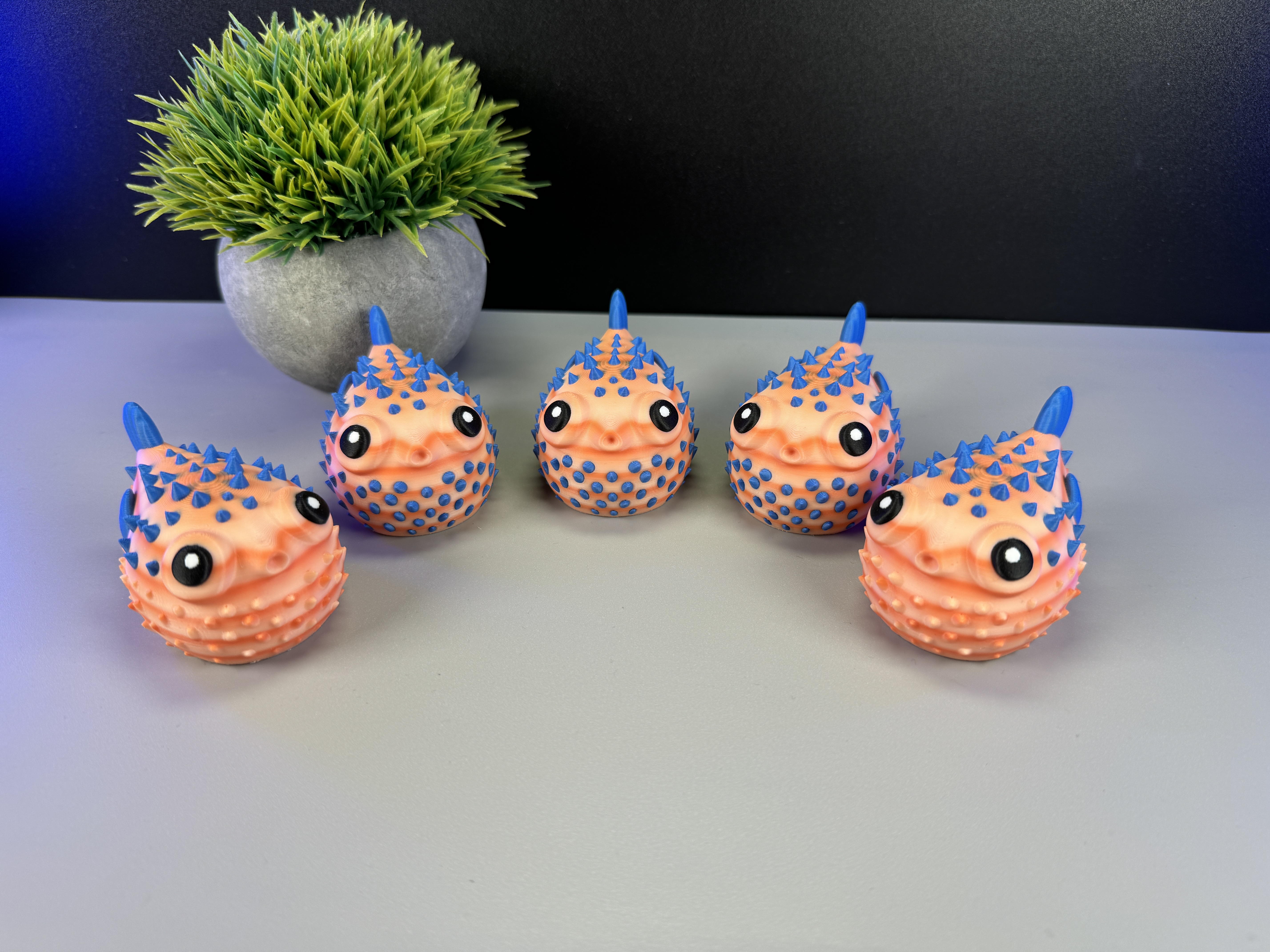 Miniatura 7 do modelo 3D Cute Puffer Fish