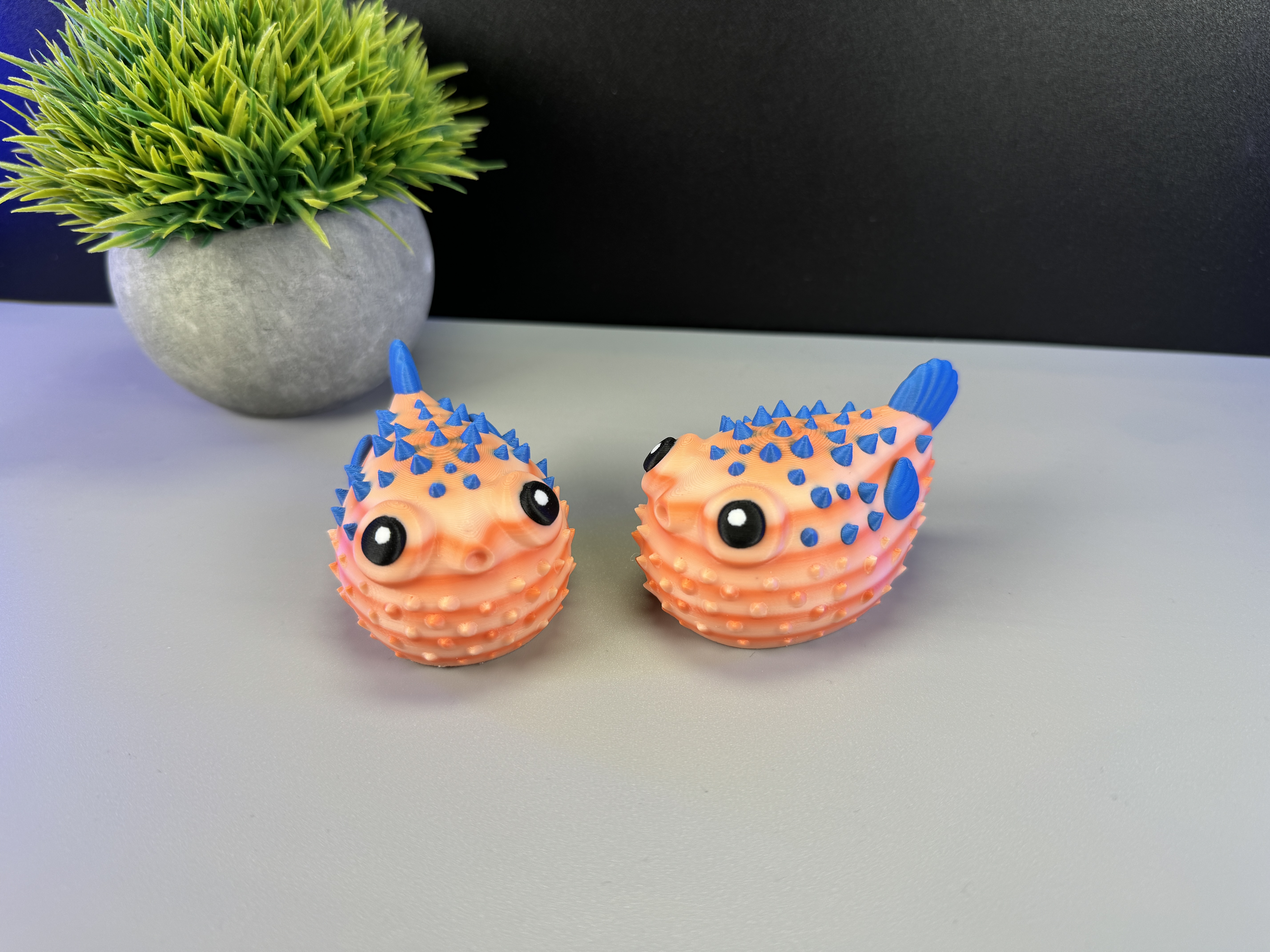 Miniatura 5 do modelo 3D Cute Puffer Fish