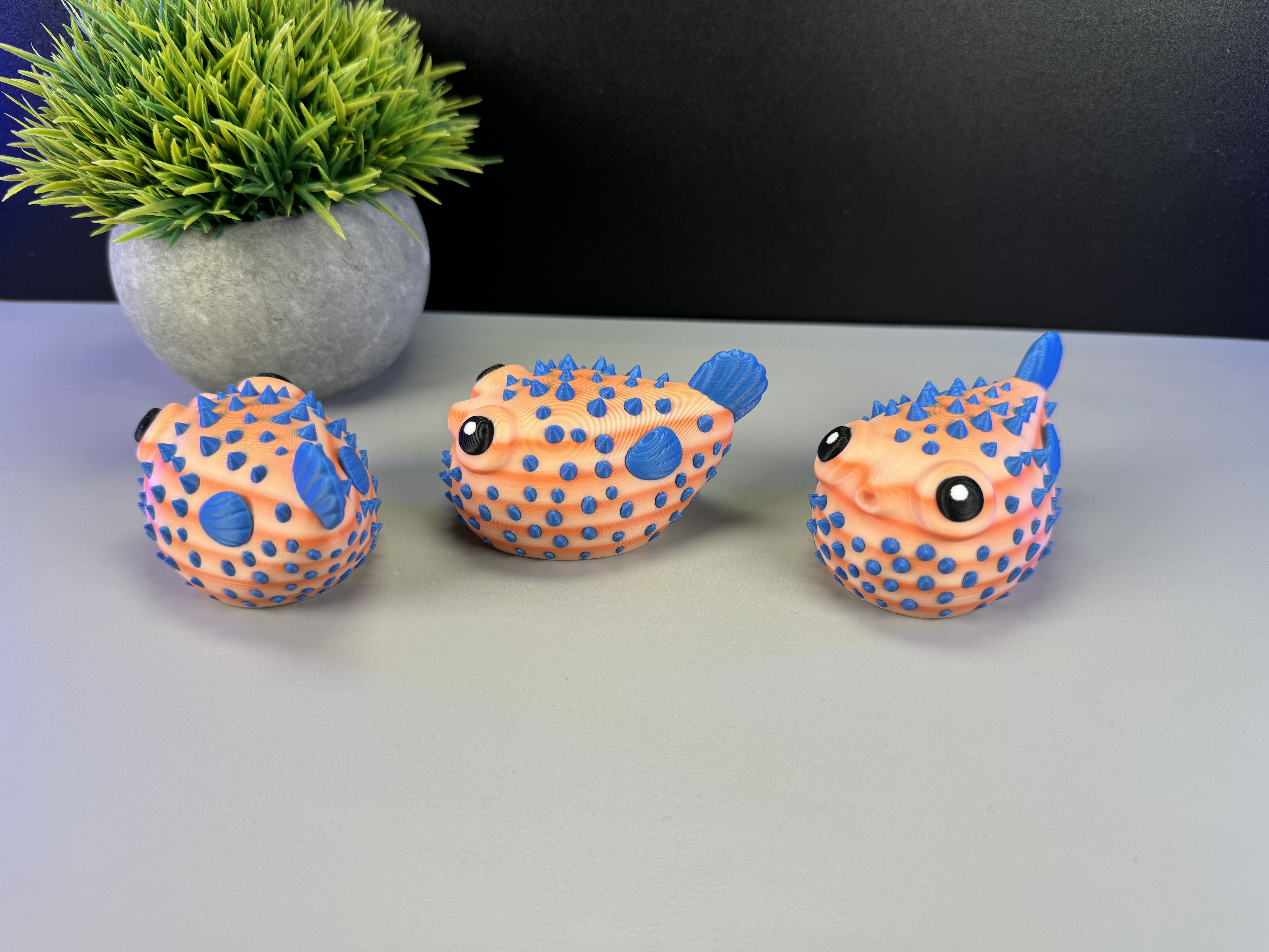 Miniatura 6 do modelo 3D Cute Puffer Fish