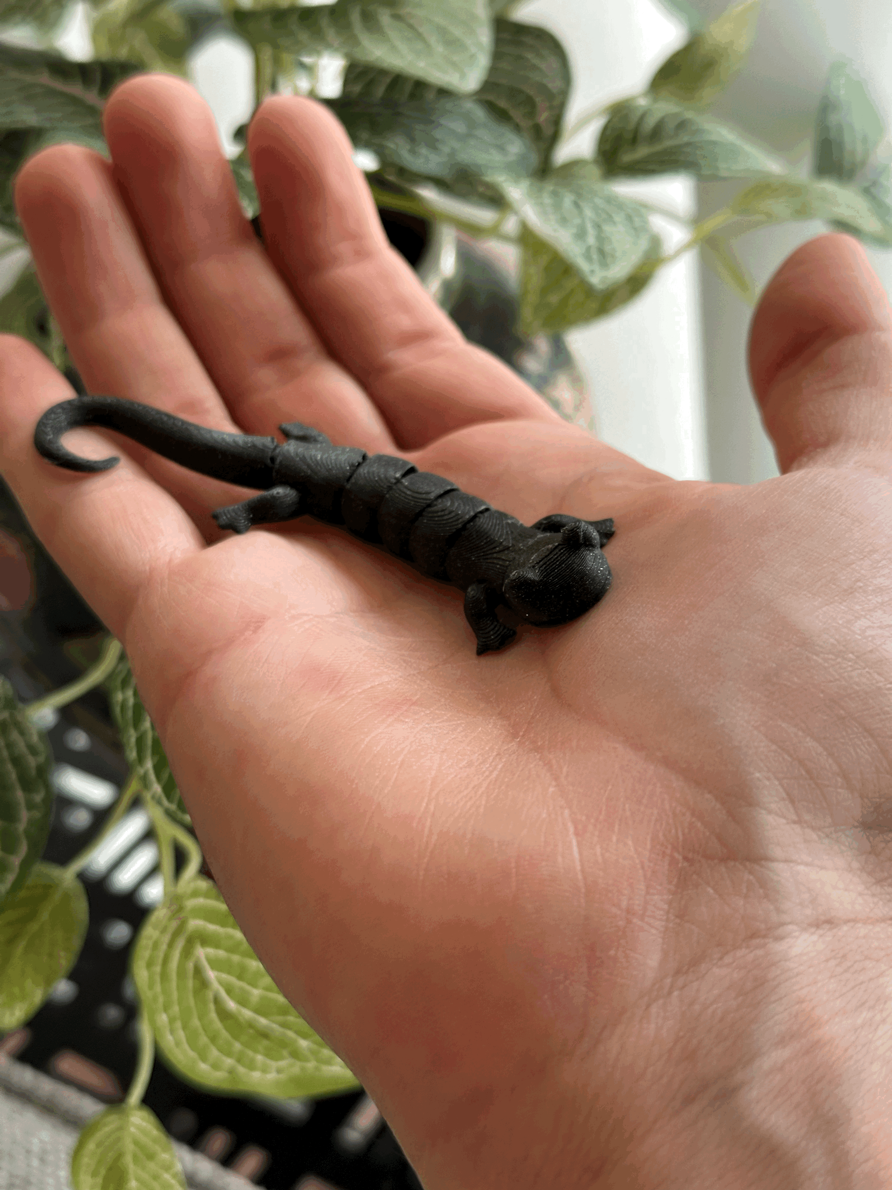 Flexi Salamander — miniatura 6