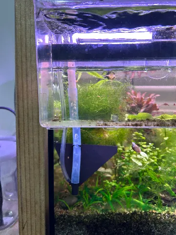 Aquarium Automatic Egg Catcher