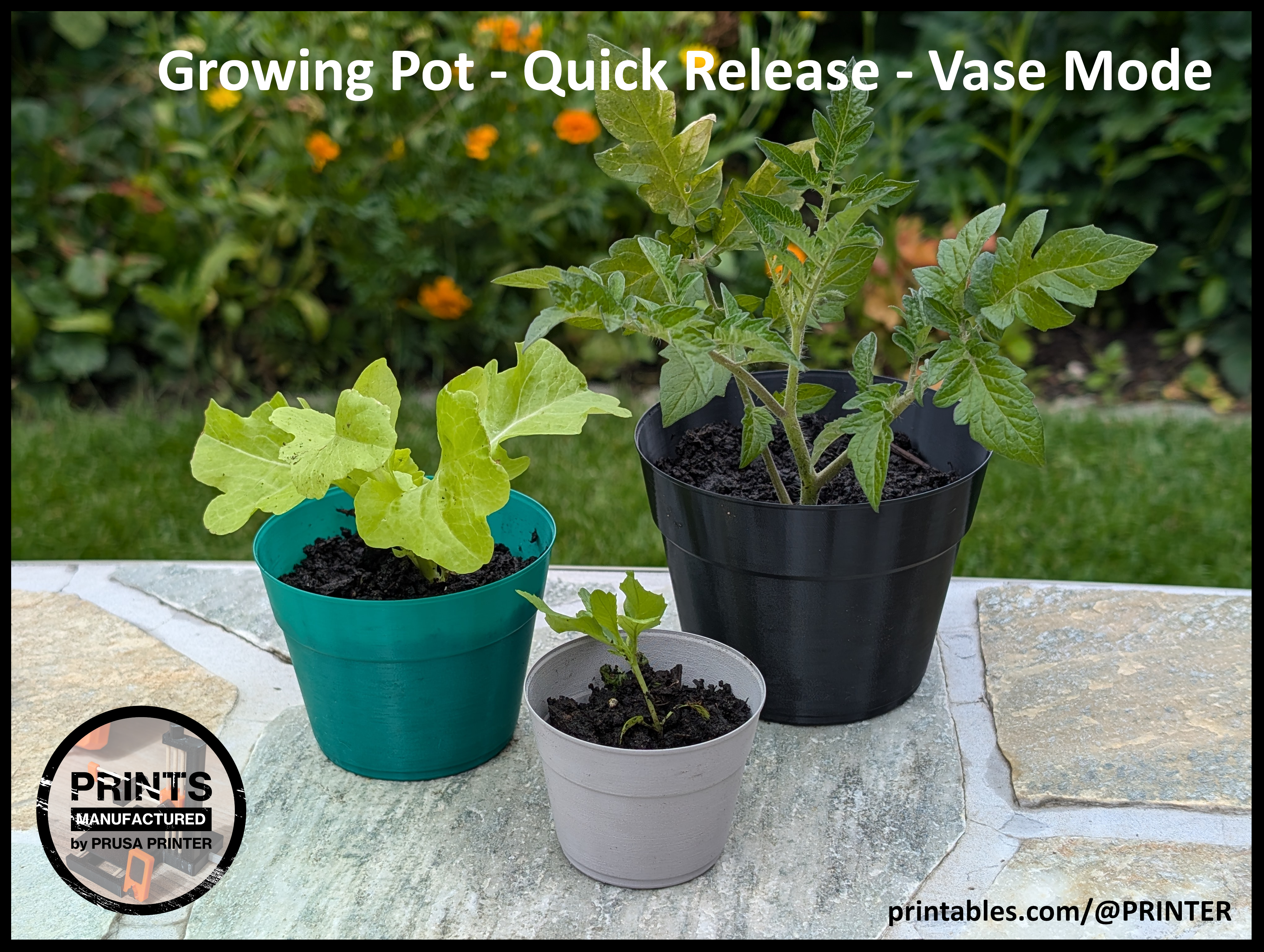 Growing Pot - Quick Release - Vase Mode