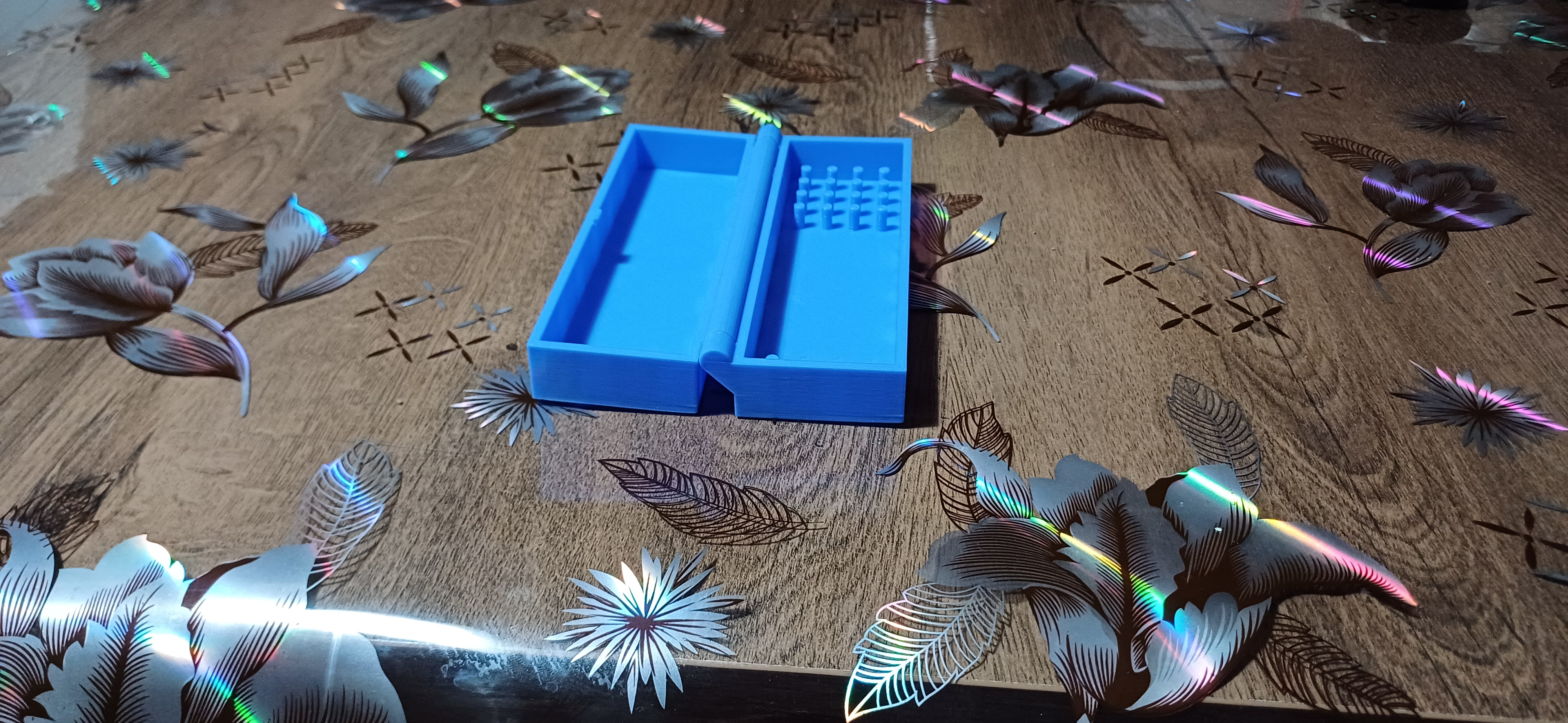 Carp hook system case
