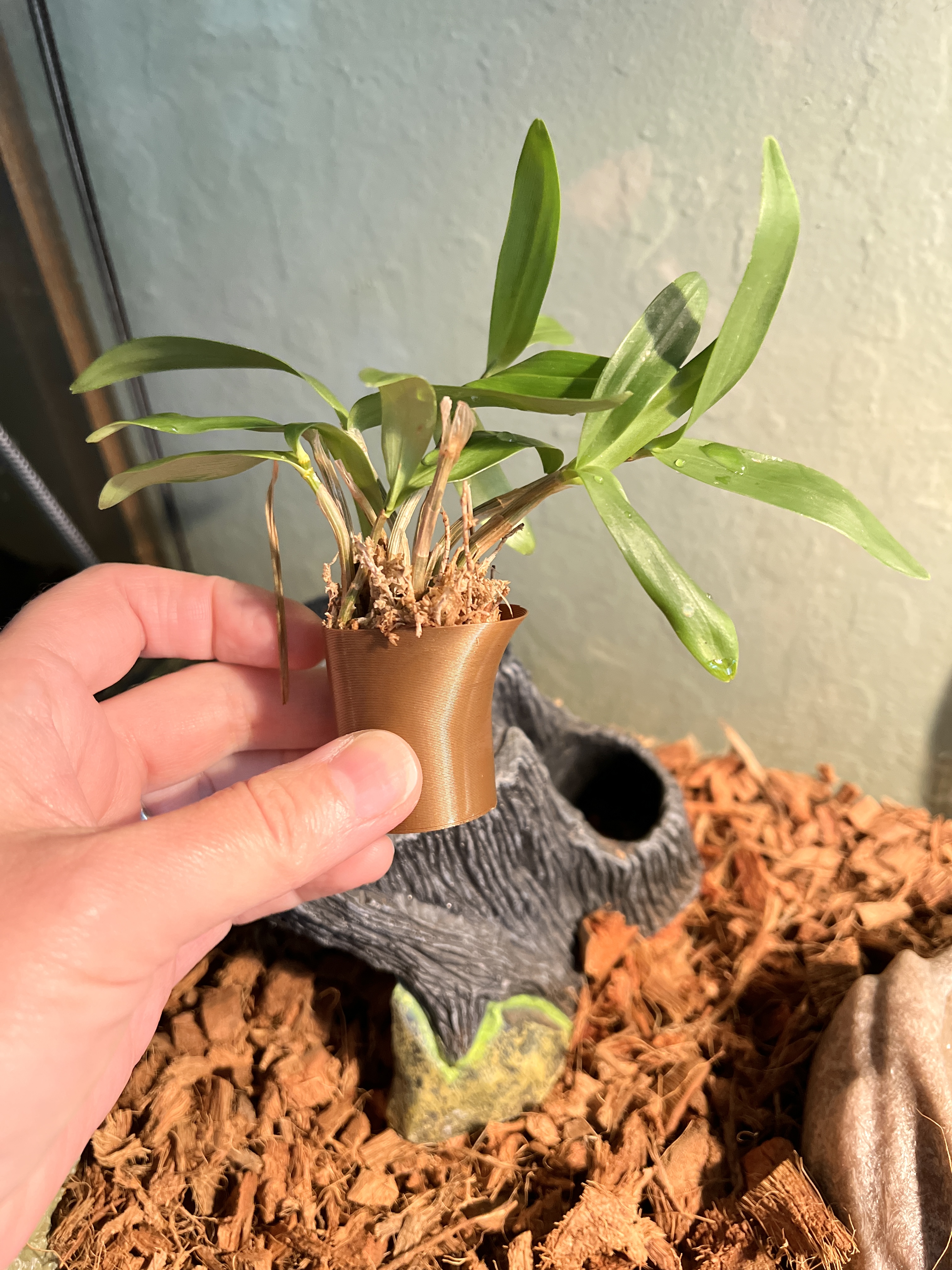Tiny plant pot for terrarium stump hideout