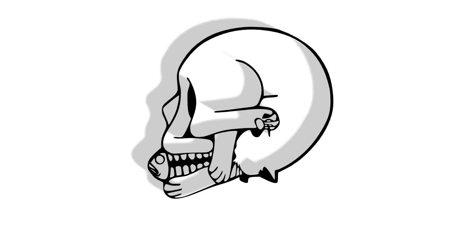 Skull Cat