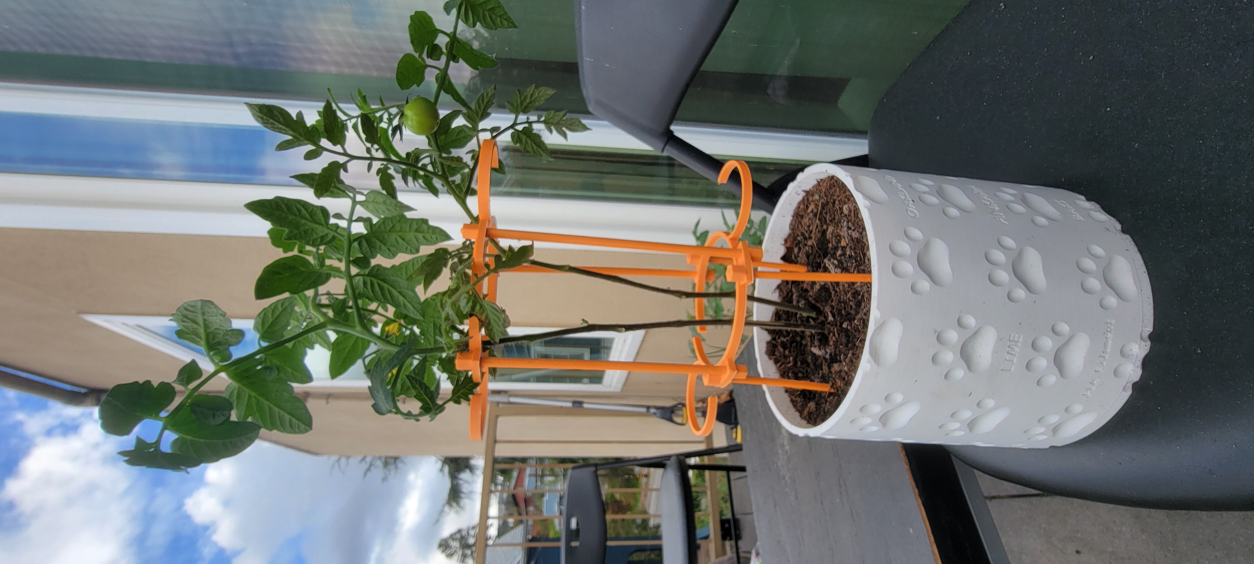 Tomato Plant Support