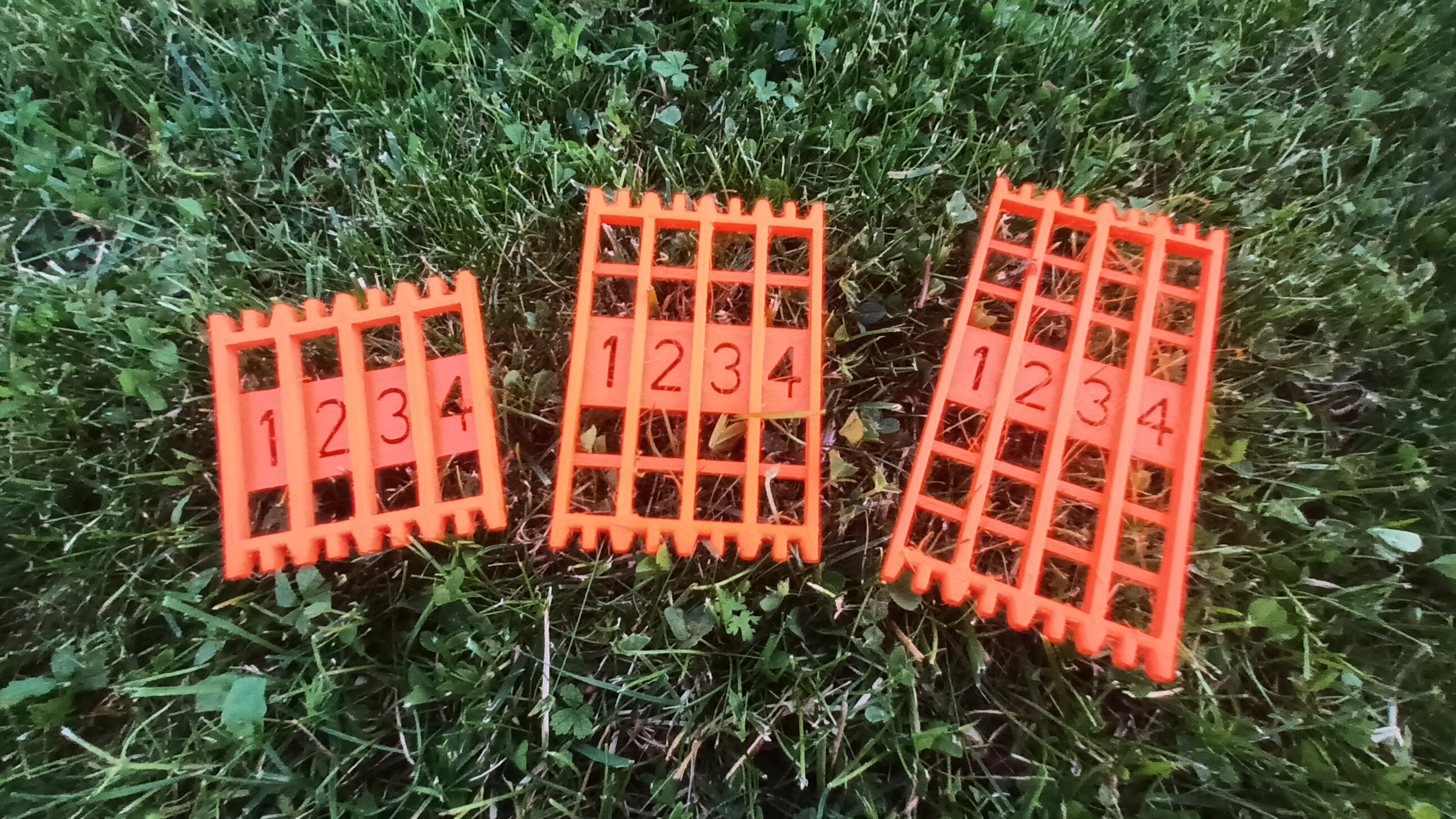 Fishing Hook Organizer