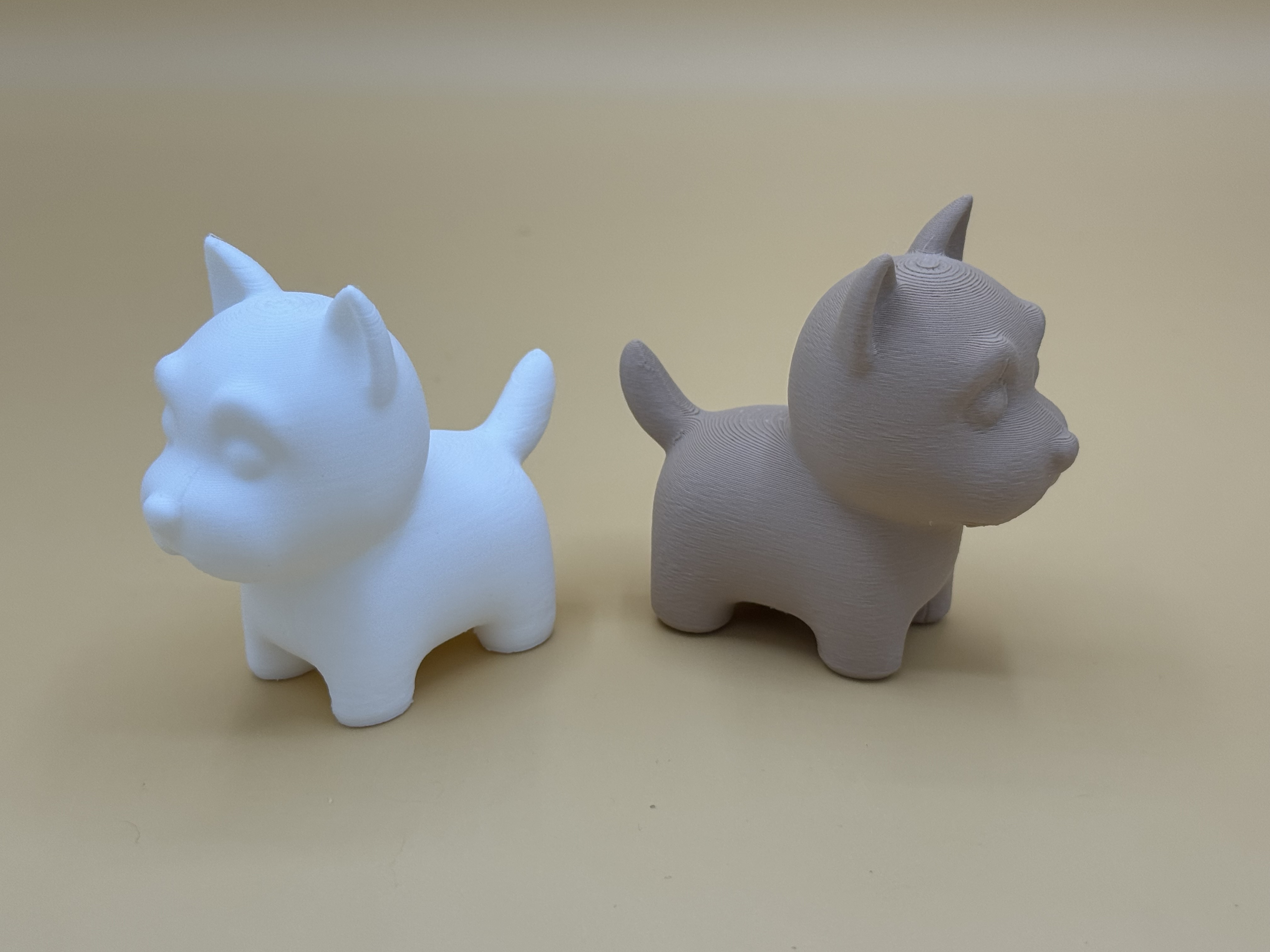 Cute Westie Puppy